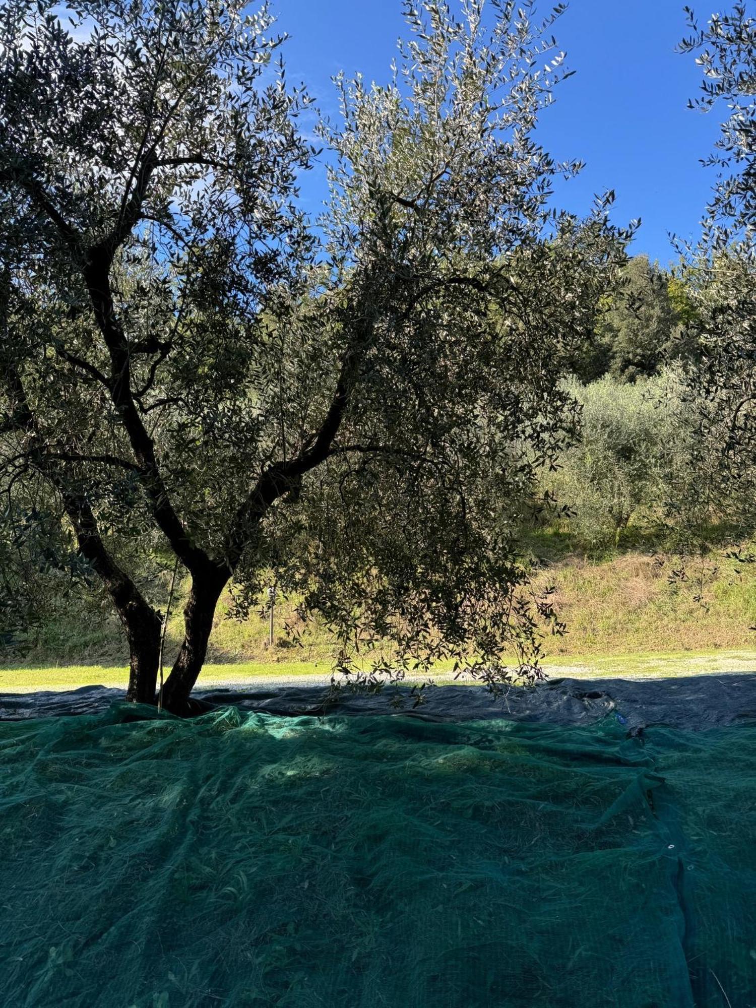 Tuscany Time Montefoscoli Zewnętrze zdjęcie