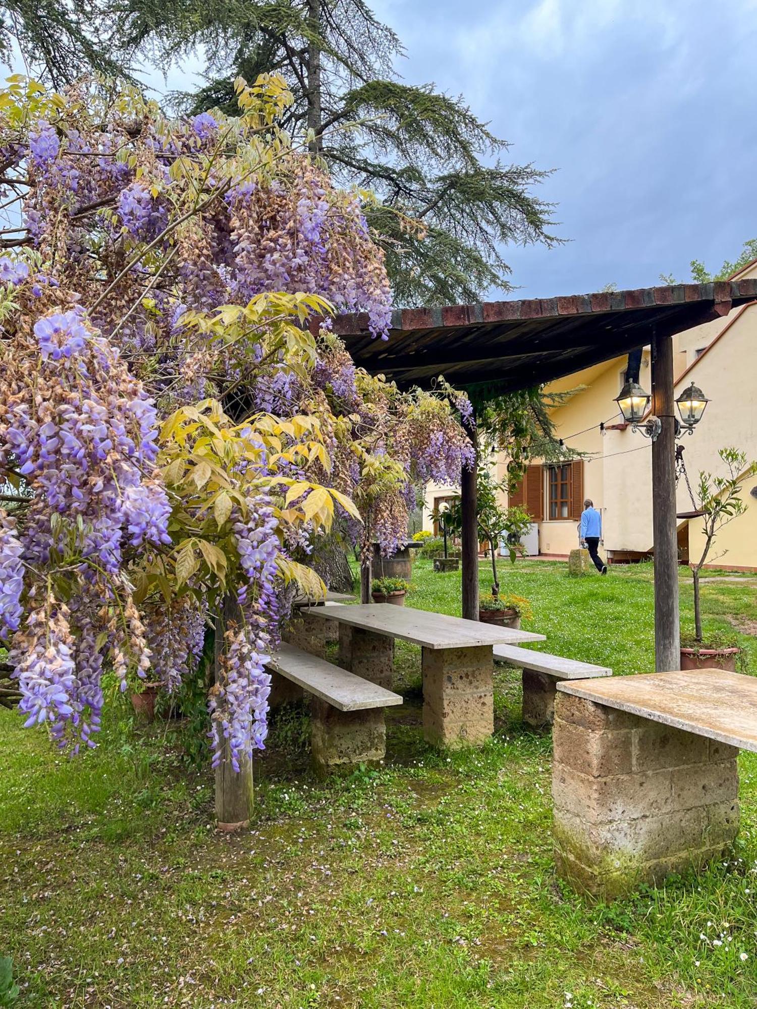 Tuscany Time Montefoscoli Zewnętrze zdjęcie