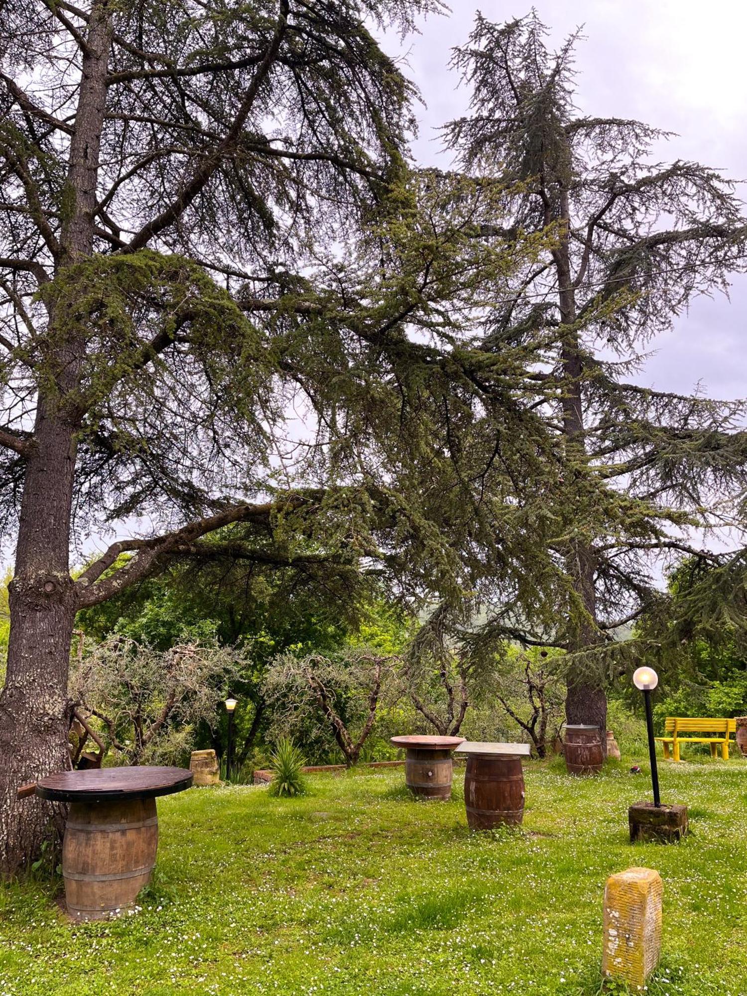 Tuscany Time Montefoscoli Zewnętrze zdjęcie